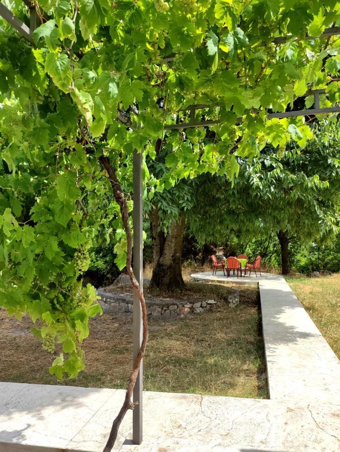 Celtis Shade House Villa Virpazar Exterior foto